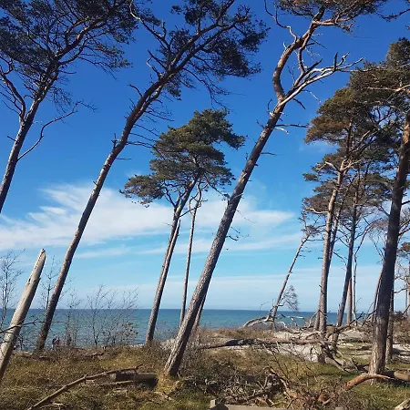 Darsser Koje Wieck auf dem Darss